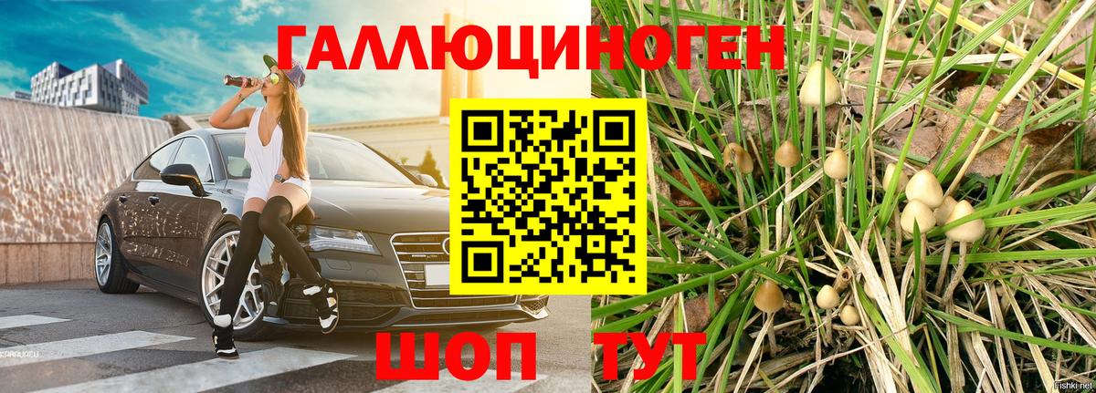 Самара  Галлюциногенные грибы MAGIC MUSHROOMS  Вход с VPN 